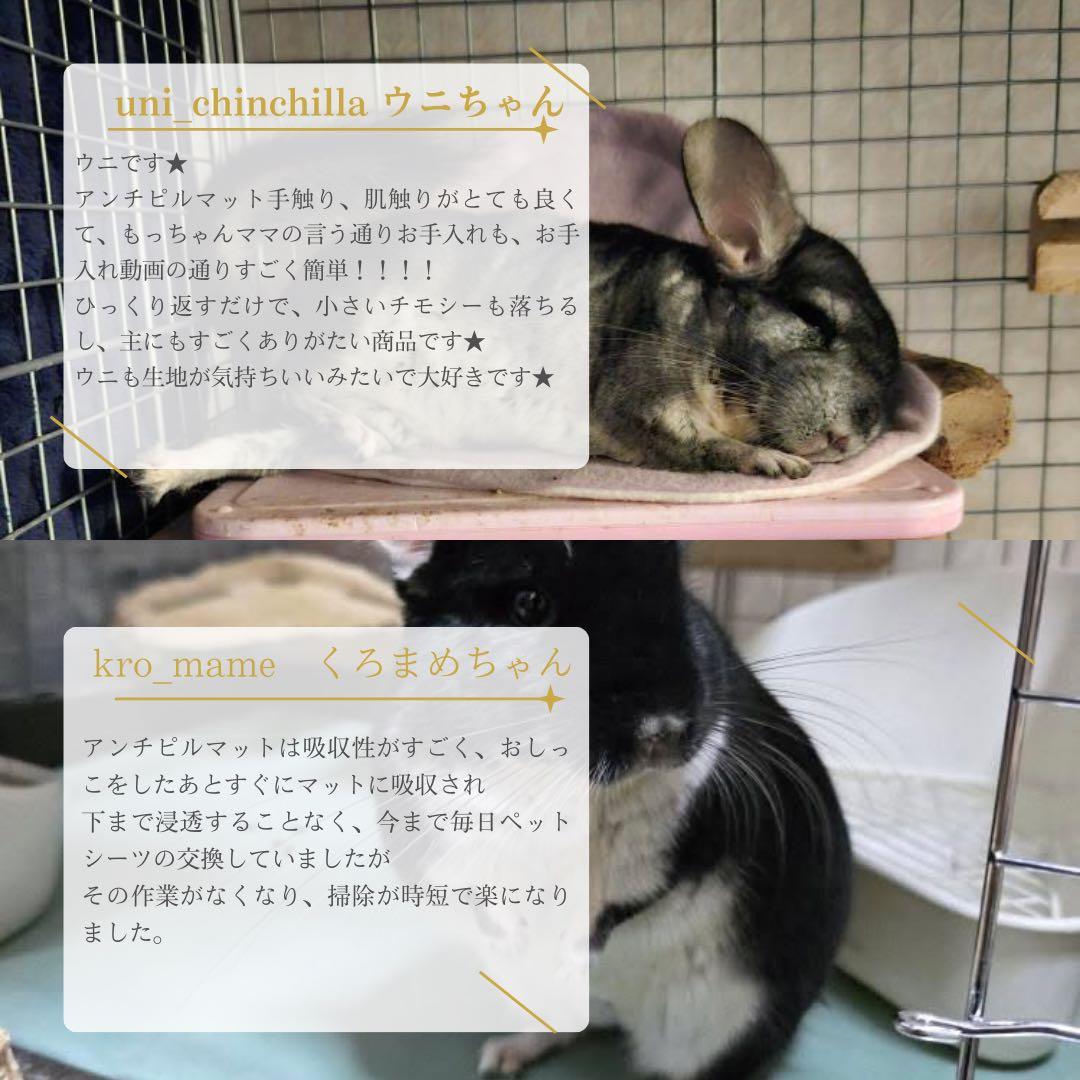 J様専門