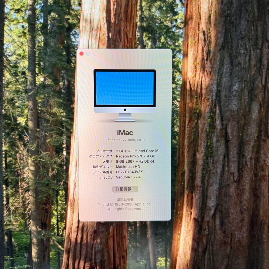 【良品】iMac 5K 27インチ 2019 / i5 / 8GB/256GB