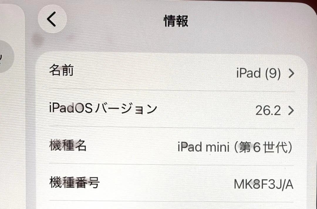 iPad本体 iPad mini 6 256GB Cellular+ AirPodsPro3