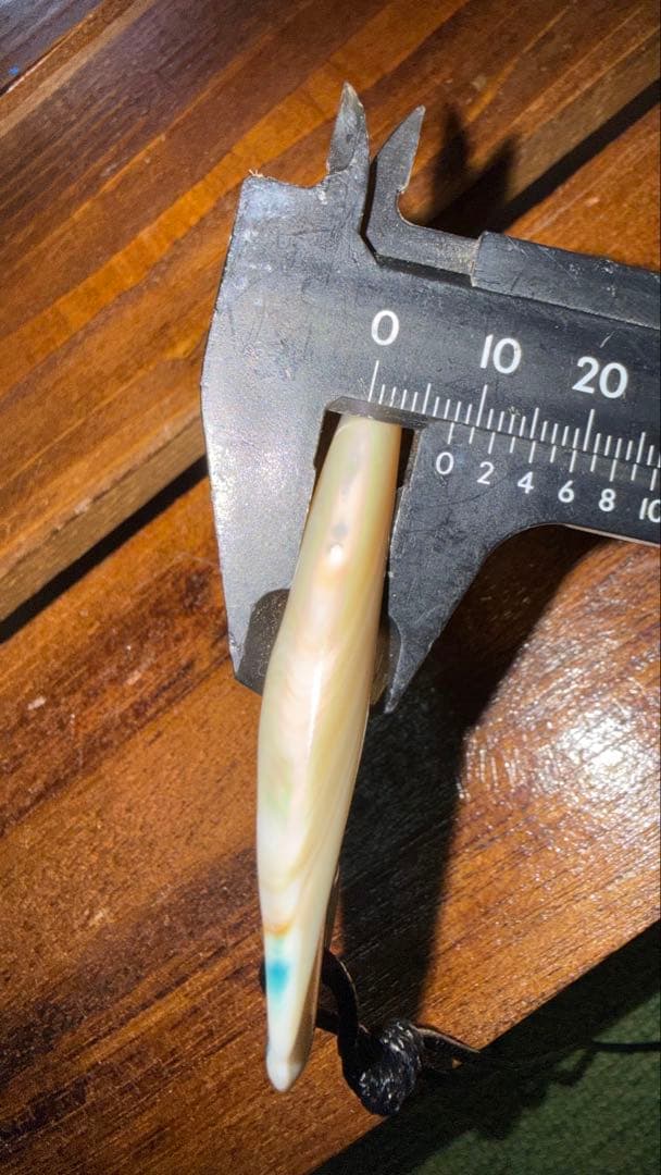 夜光貝 ワイルドフィッシュフック 8cm