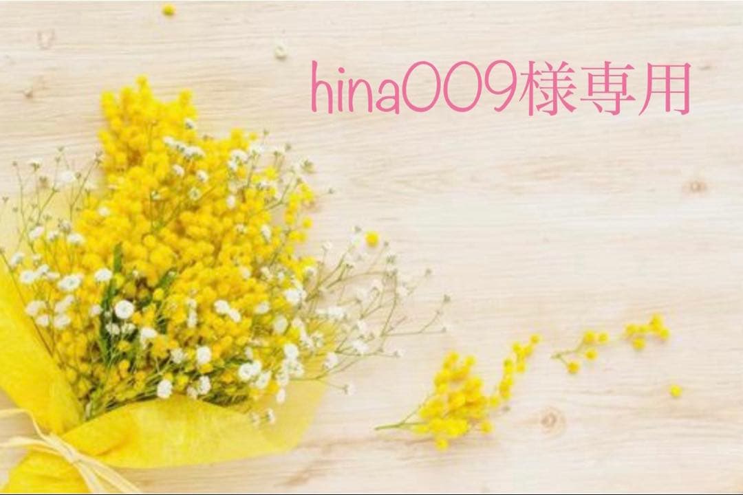 その他 hina009