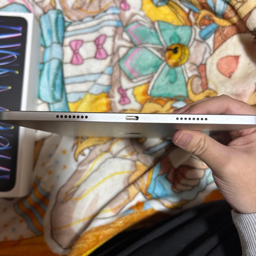 【21時まで値下げ中】iPadPro 11インチ 4世代 128GB 容量89%