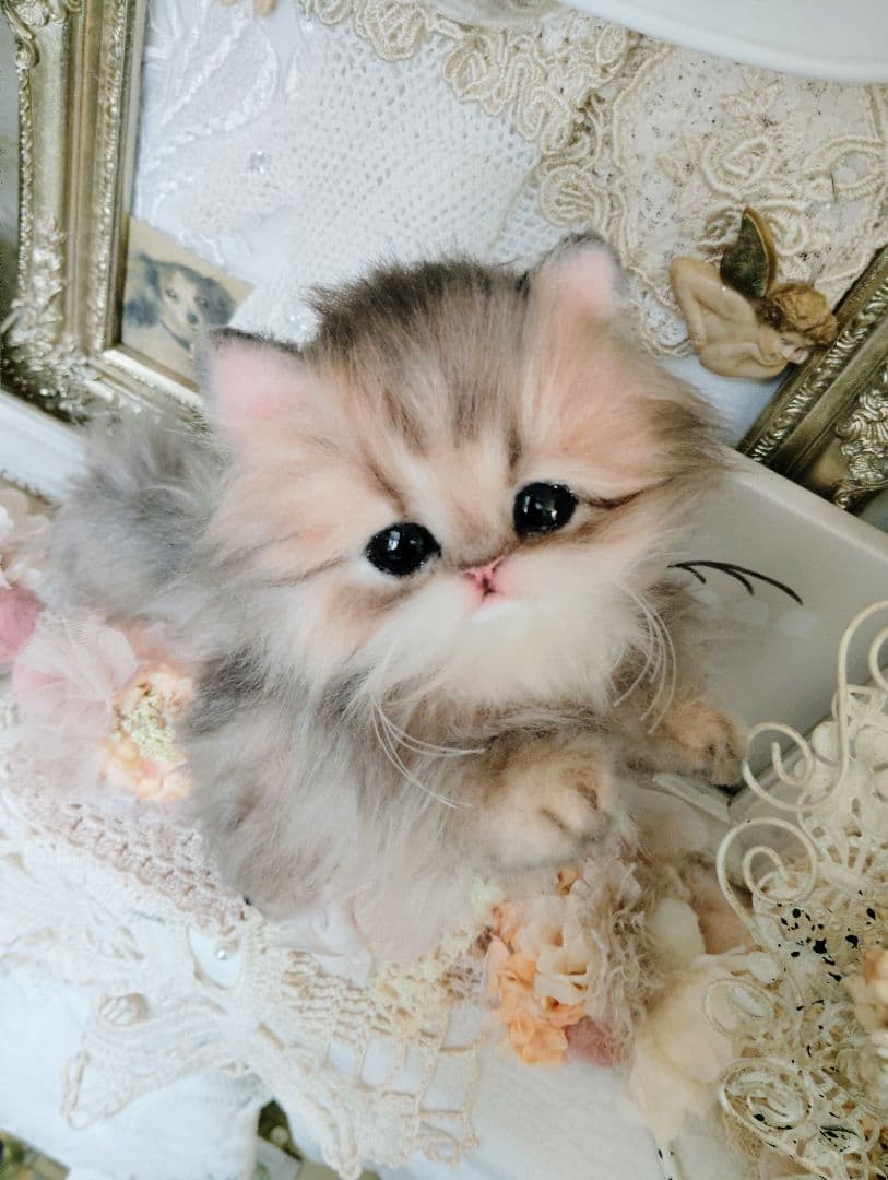 チンチラゴールデン子猫♡まこちゃん♡アートドール♡ぬいぐるみ♡