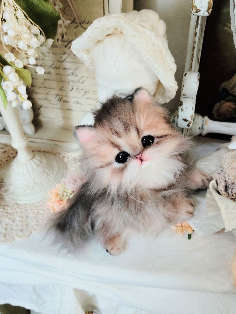 チンチラゴールデン子猫♡まこちゃん♡アートドール♡ぬいぐるみ♡