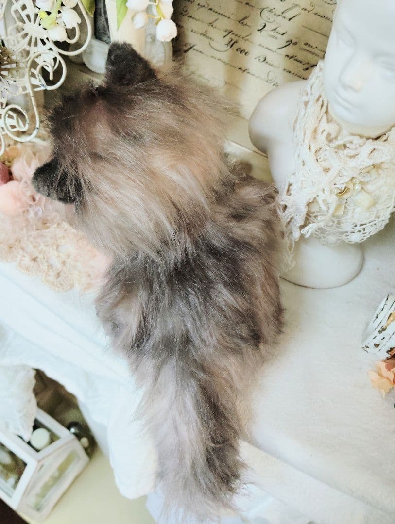 チンチラゴールデン子猫♡まこちゃん♡アートドール♡ぬいぐるみ♡