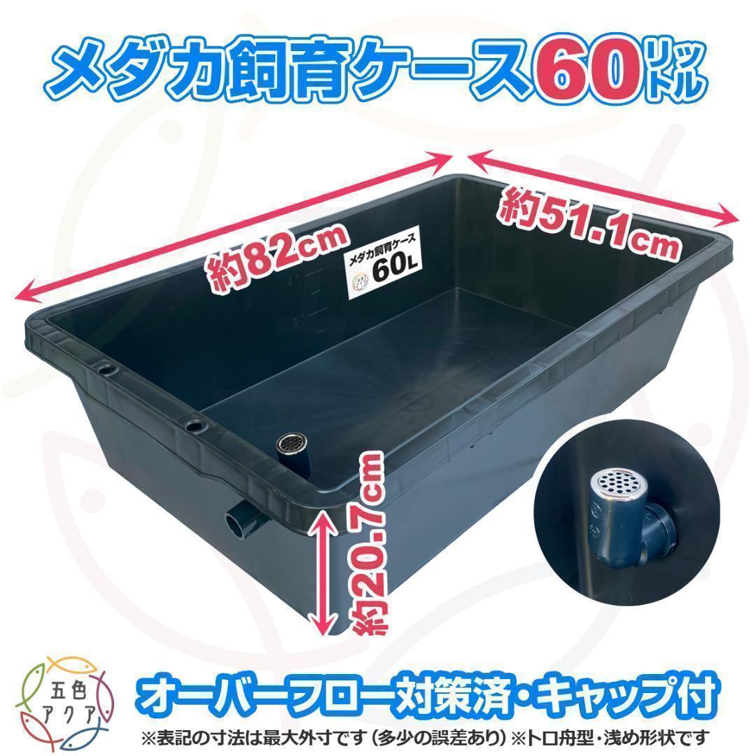 メダカ飼育ケース 60㍑x3個 トロ舟 オーバーフロー付 金魚飼育容器 産卵