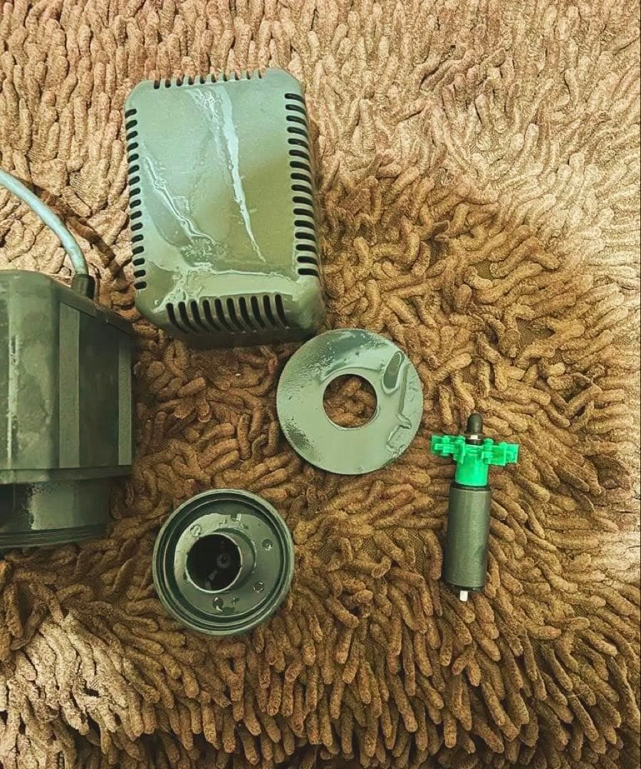 Rio 3100 ポンプ AC100V 60W