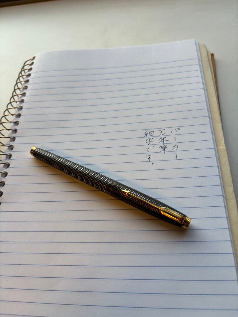 PARKER 万年筆 STERLING SILVER France