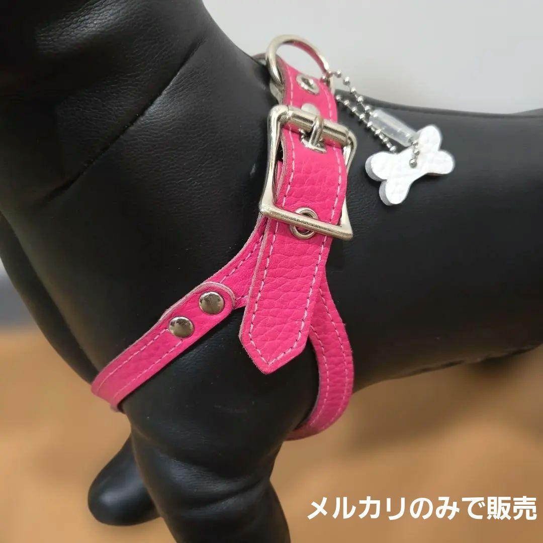 バディーベルト Buddy Belts ハーネス3.5号 ホットピンク❣️