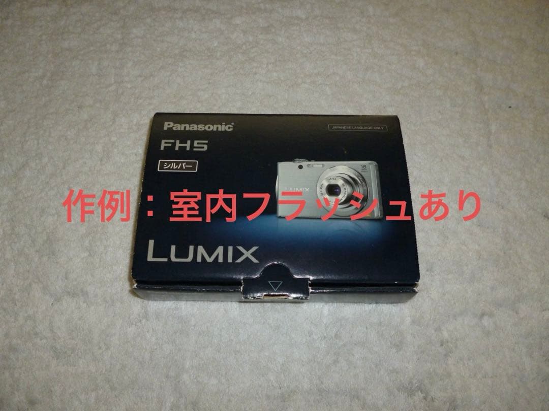 極上品【動作確認済】Panasonic パナソニック LUMIX DMC-FH5