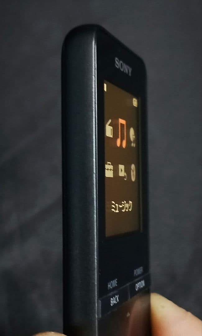 ★極美品 SONY NW-313 4GB MP3 WALKMAN 黒 お早めに