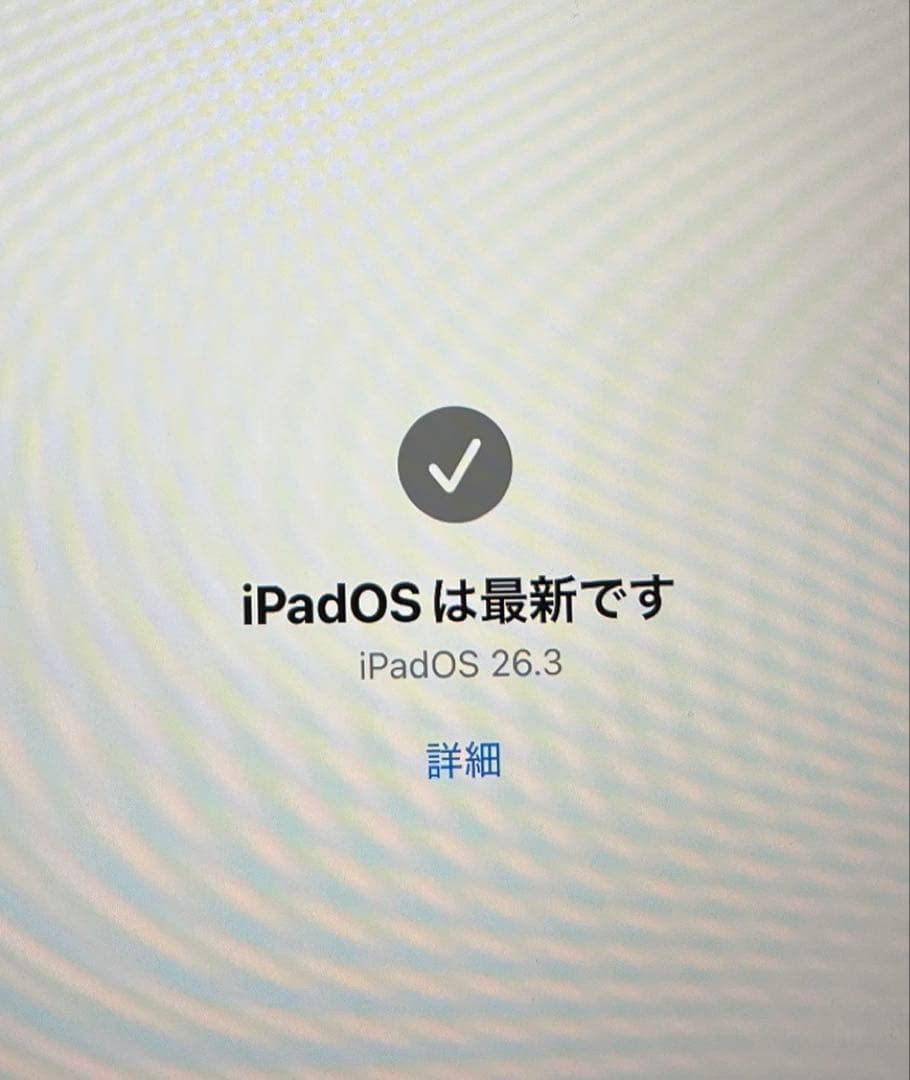 Apple iPad Pro 11インチ 第1世代 本体 ジャンク