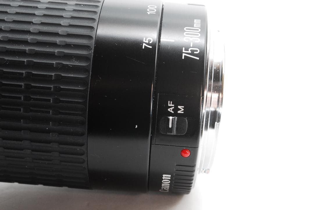 Canon Kiss X5 ダブルレンズ 望遠付 手振補正 初心者 即撮影OK