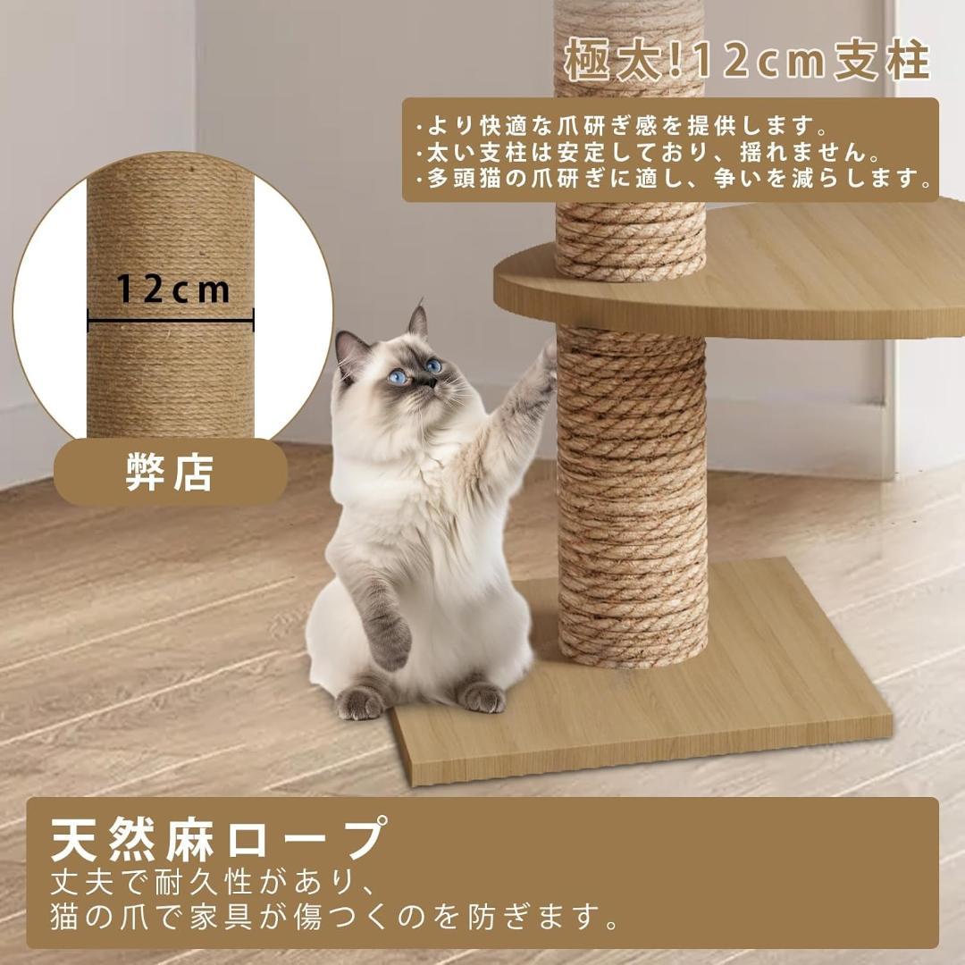 突っ張り型キャットタワー 360度透明カプセル付き