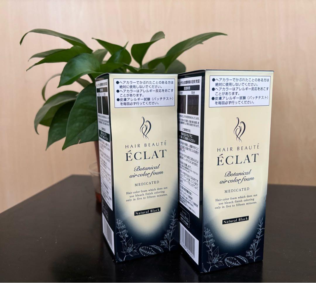 ÉCLAT 白髪染めナチュラルブラック　2個