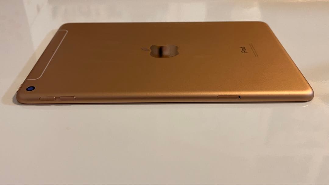 Apple iPad mini 5 64GB バッテリー96%