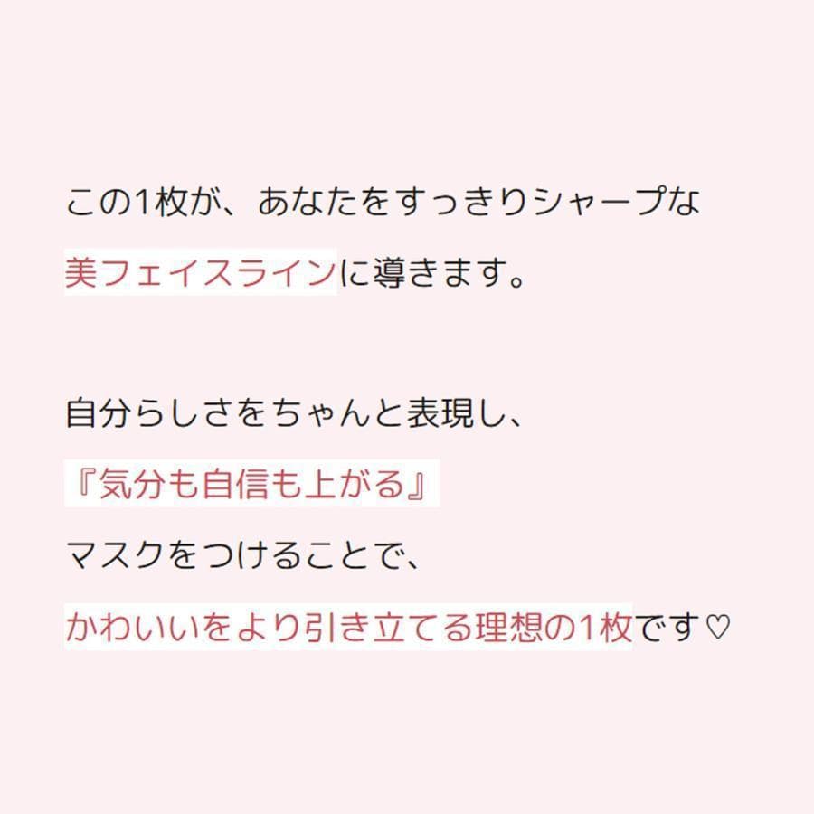 マロンマスク習慣【E-Lineマスク】『ベージュレッド』大きめ39枚×5箱