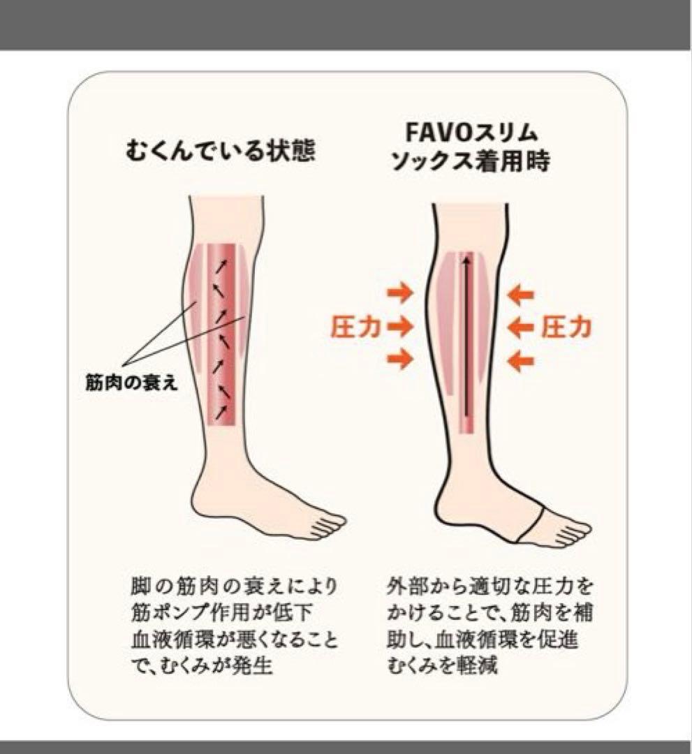 EXCEED SHORTベルト安井友梨　ウエストシェイパー　補整　ファボリンク