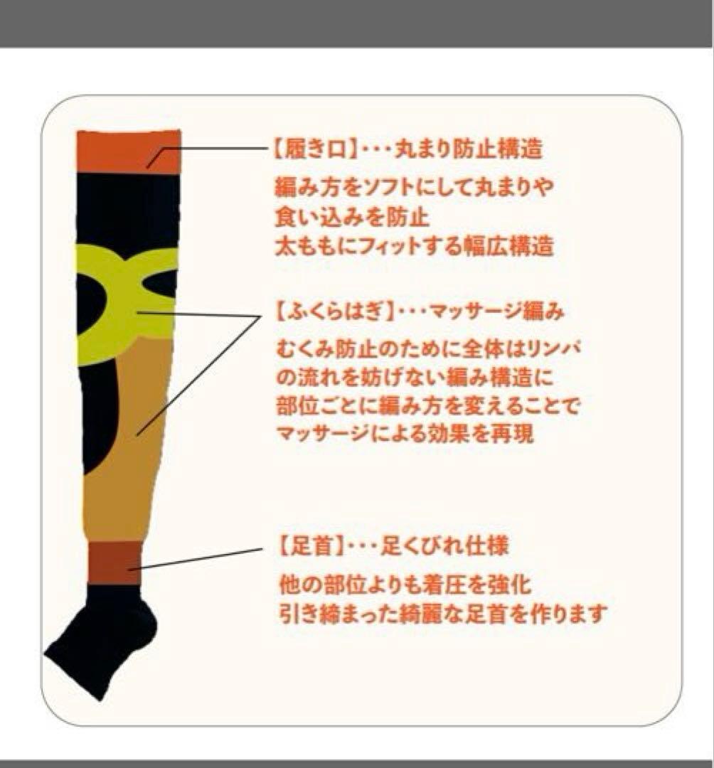 EXCEED SHORTベルト安井友梨　ウエストシェイパー　補整　ファボリンク