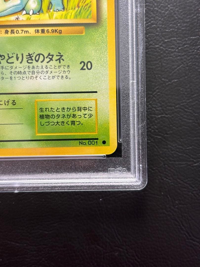 【PSA10】フシギダネ LV.13 旧裏 拡張パック第1弾