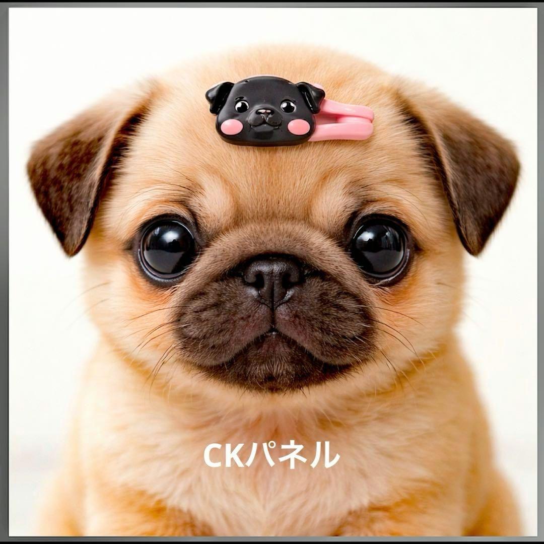 激レア柴犬、チワワ、トイプー、ポメラニアン、パグ、しーずパネル生地