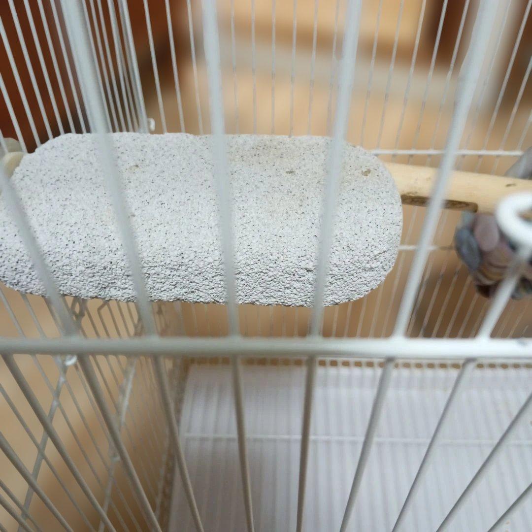 ホワイトメタル鳥かご・フェルト隠れ家付き
