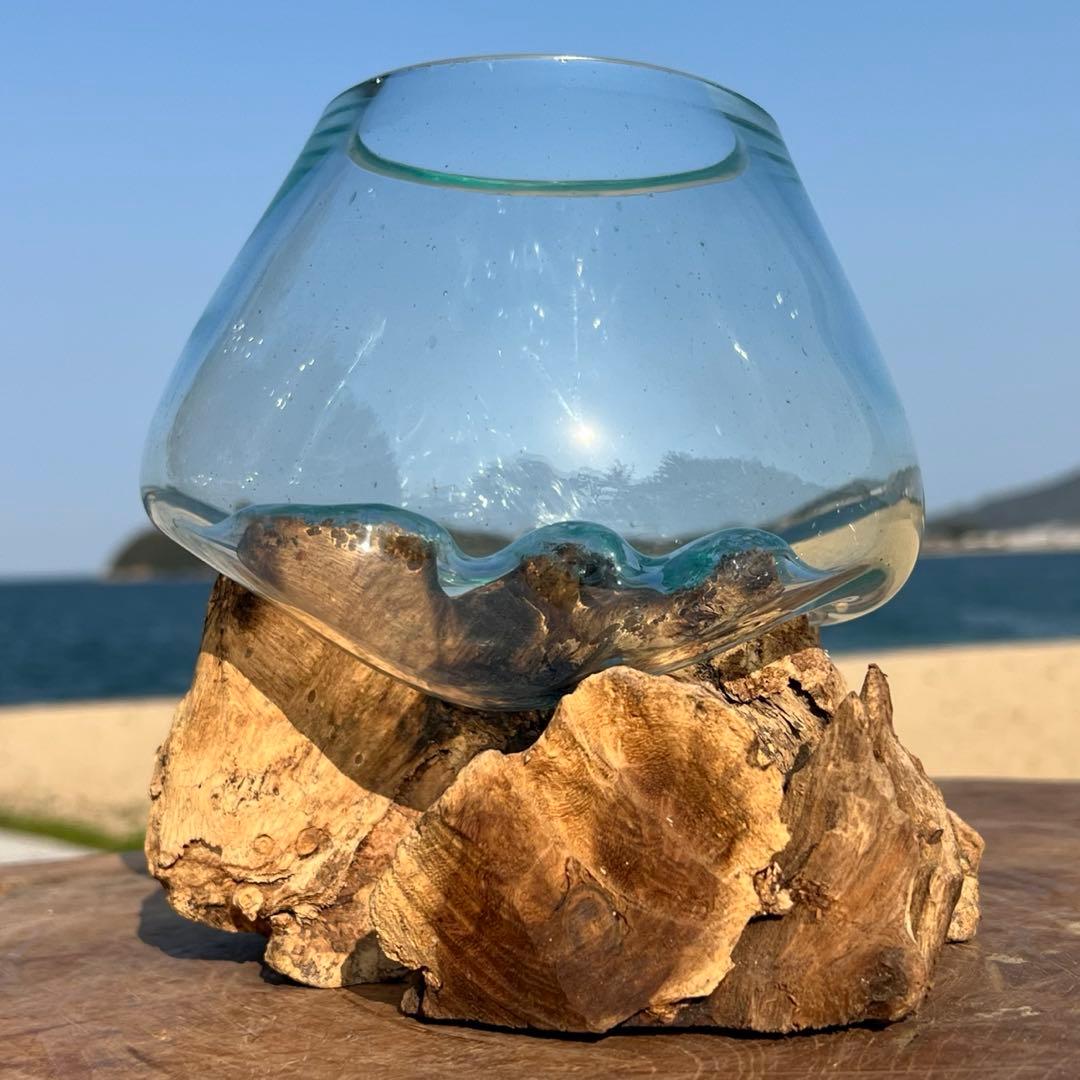流木ガラス オブジェXSN バリ島 花瓶 金魚鉢 メダカ水槽 テラリウム アート