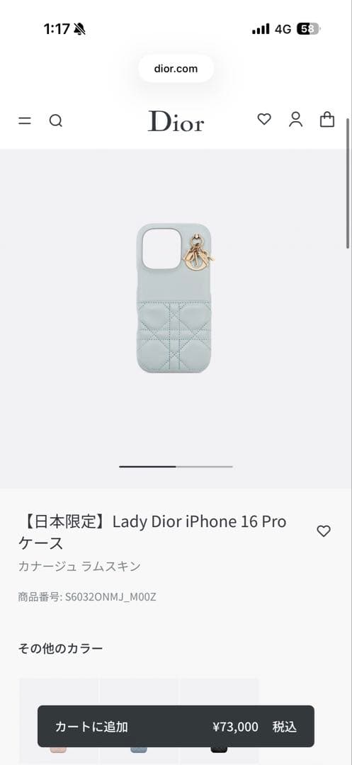 Christian Dior レザー iPhone16proケース ライトブルー