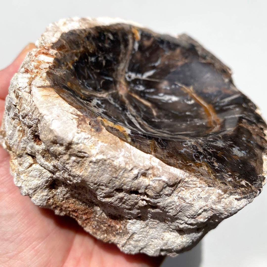 【 珪化木 ペトリファイドウッド ボウル 約690g アクセサリー トレイ 】