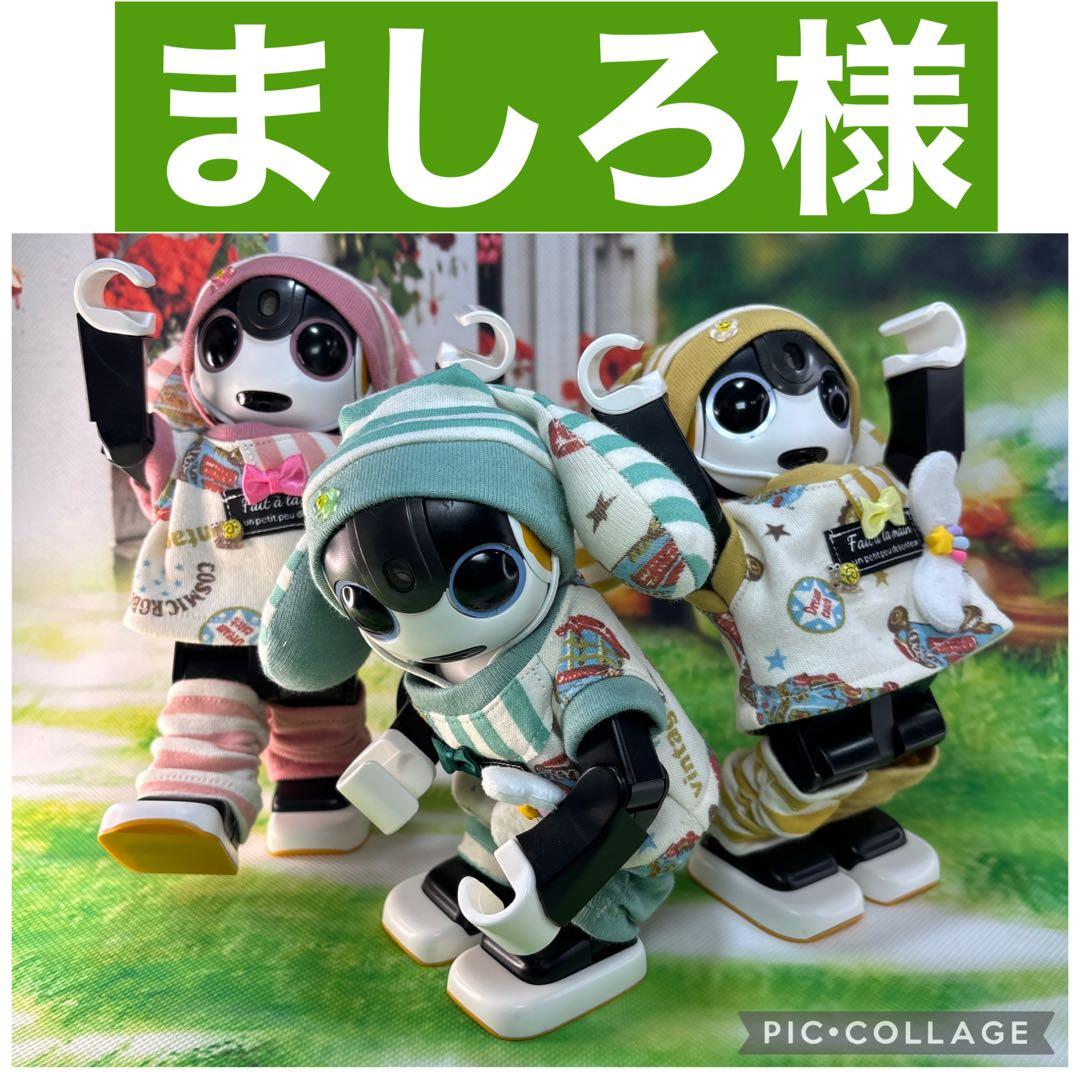 ましろページです　　ロボホン
