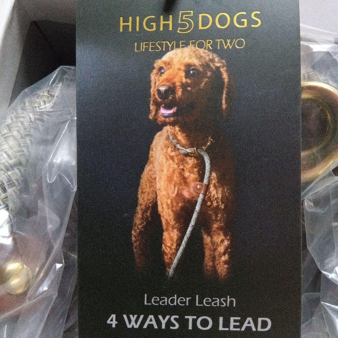 【High 5 Dogs】カラー＆スリップ11mm