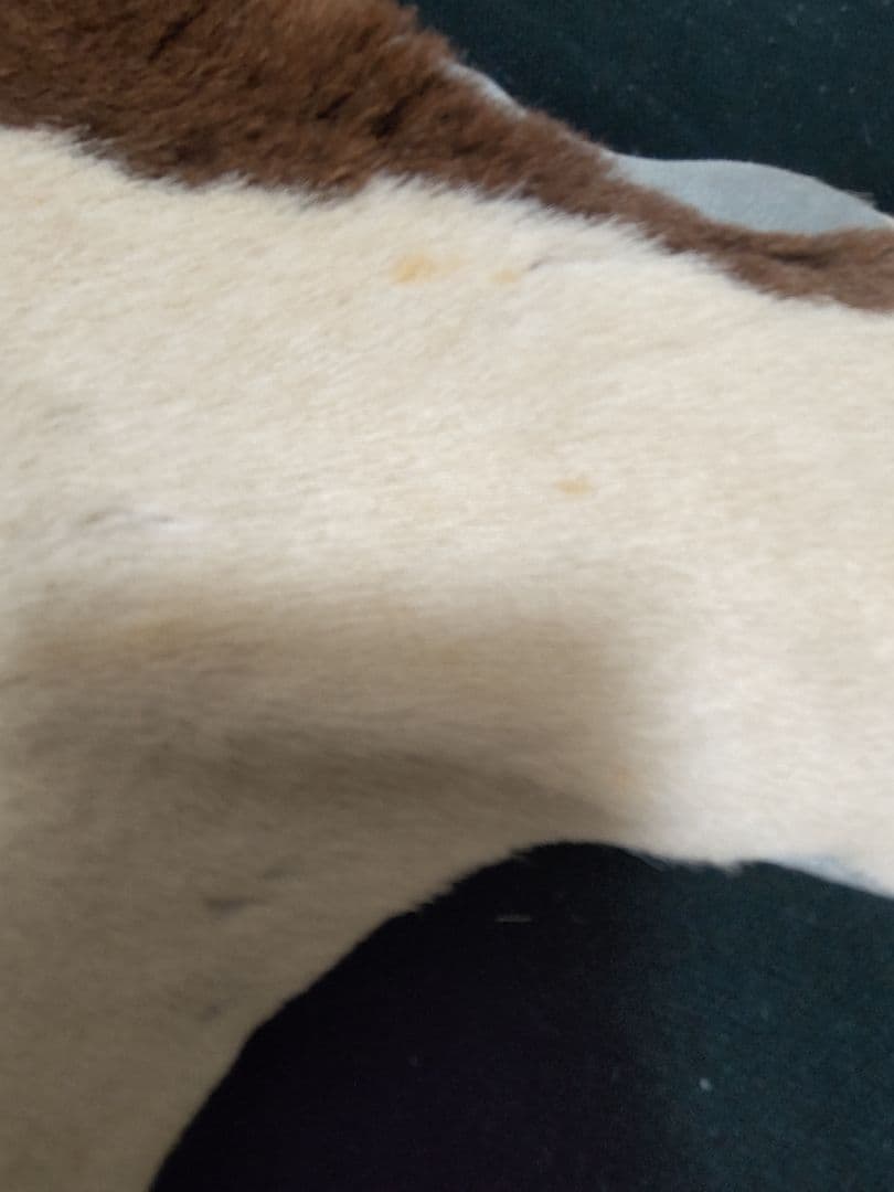 ユーロヴィンテージ ハラコ レザー マット cow カウ ヴィンテージレザー