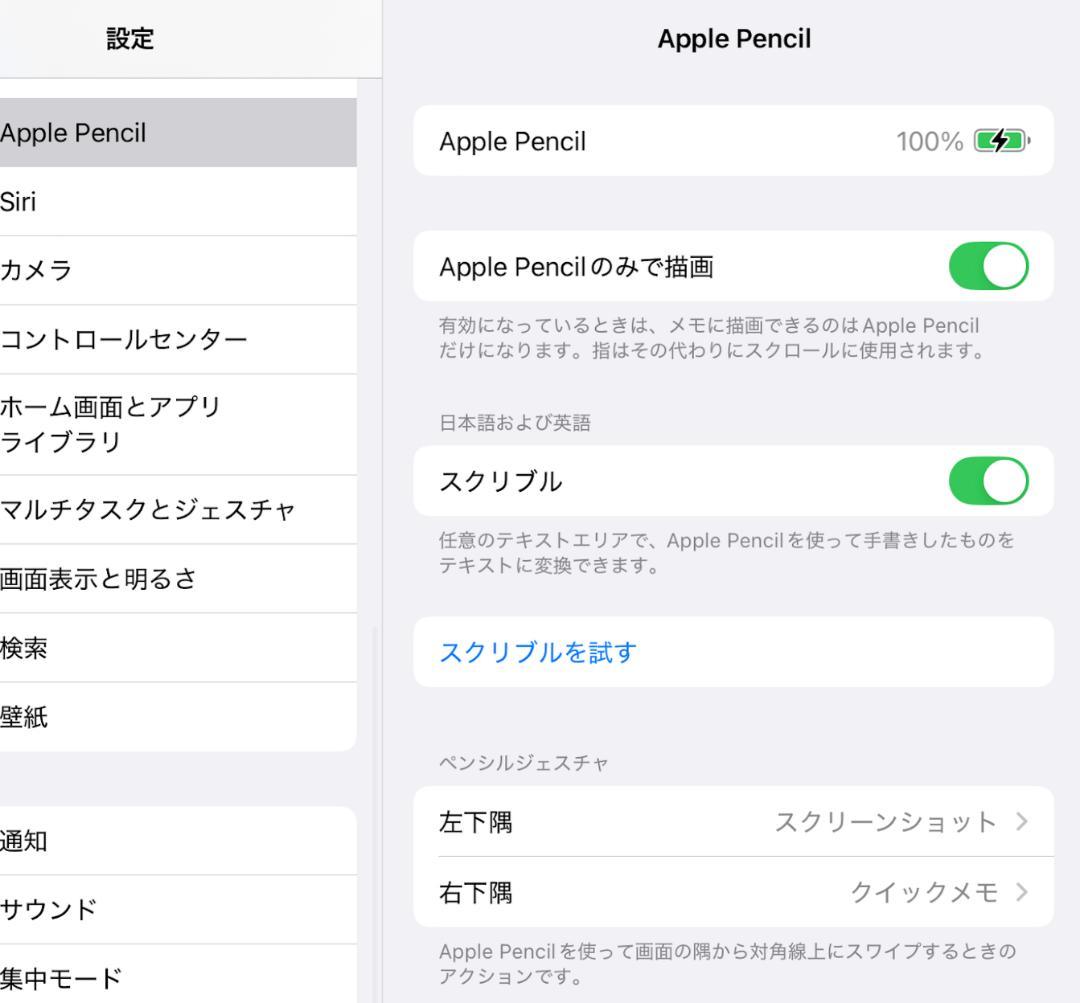 【動作確認済】Apple Pencil アップルペンシル 第1世代 保証未登録