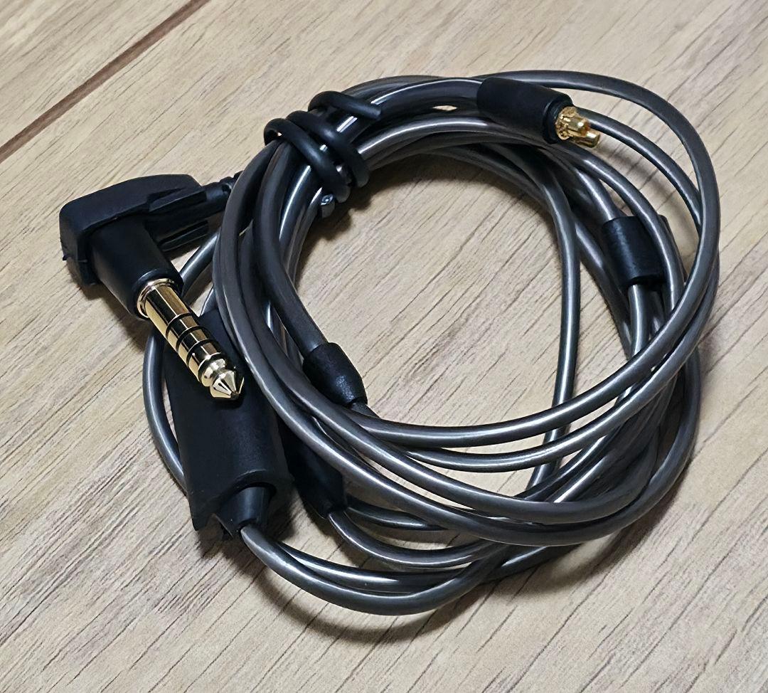 SENNHEISER IE900✨️美品✨️付属完備 正規品 2022年製