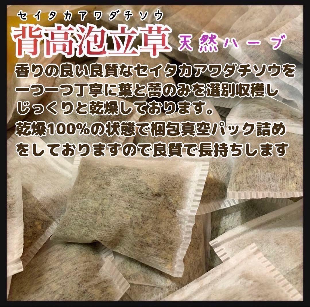 【天然ハーブ】背高泡立草　セイタカアワダチソウ1kg 個包装80個前後　大容量