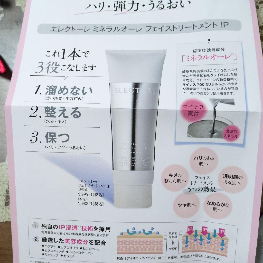 エレクトーレミネラルオーレフェストリートメントIP650グラム特別セット