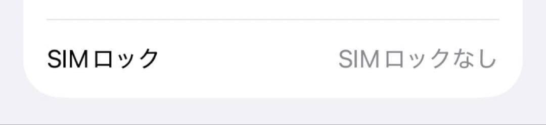 Apple iPhone SE 第3世代　256GB SIMフリー