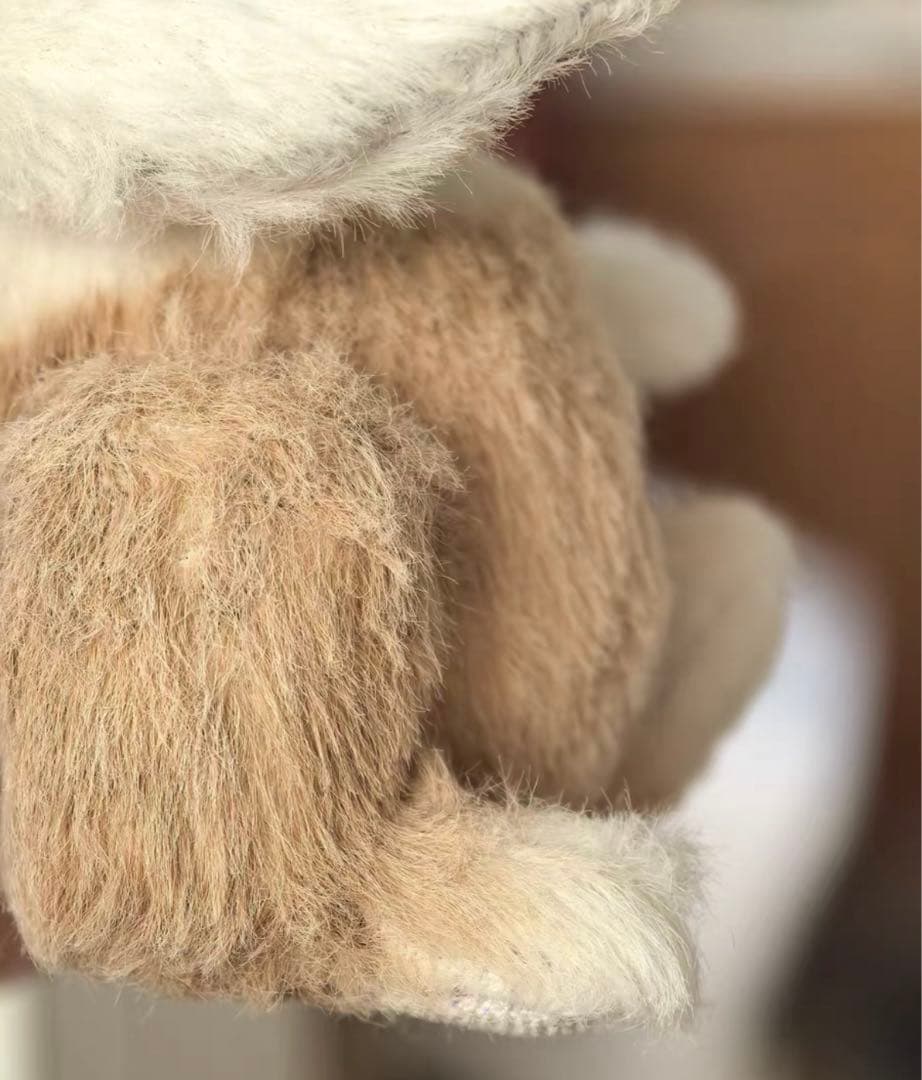 隅々までかわいい仔兎 アーティストベア テディバニー ぬいぐるみ 海外作家様