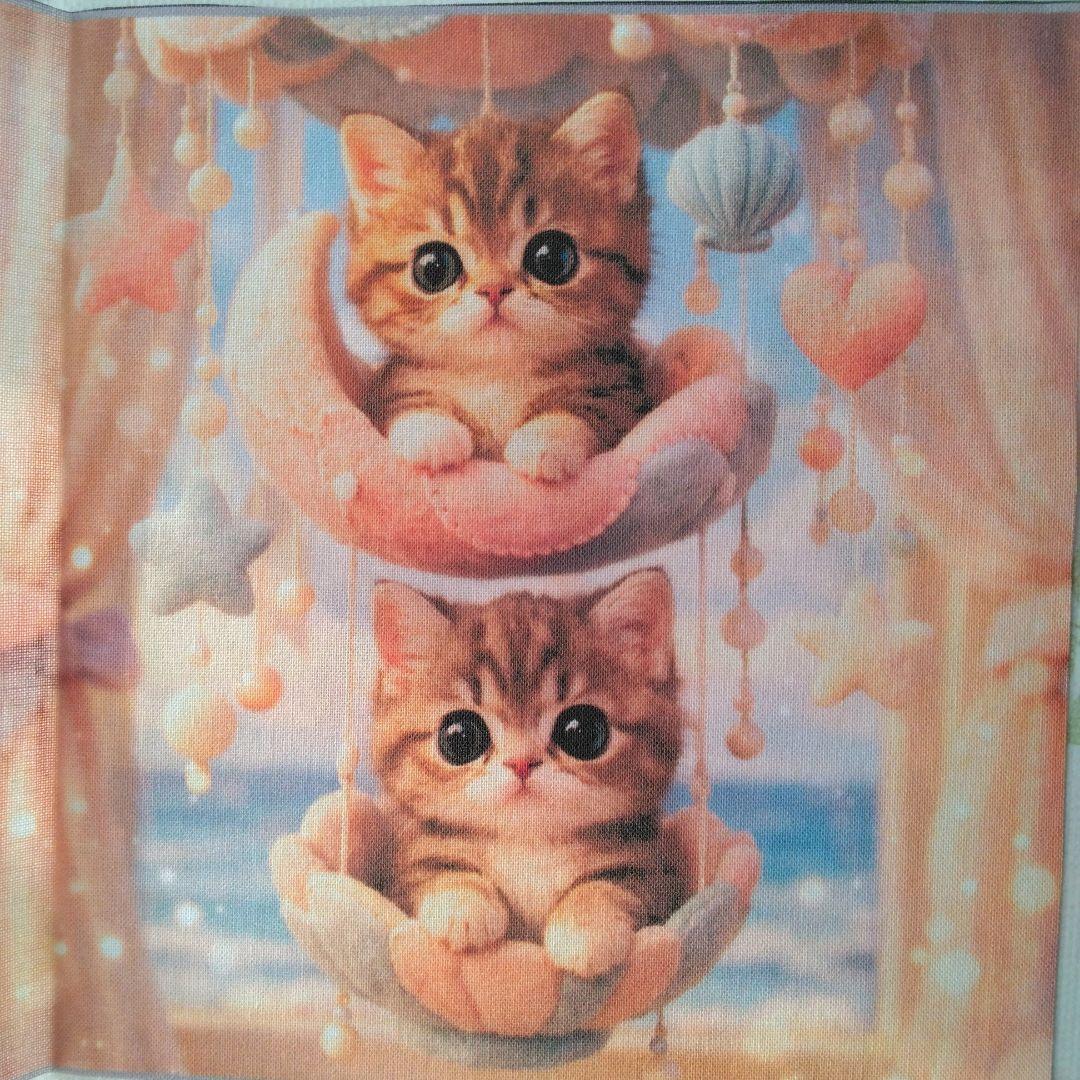 ☆受付☆猫