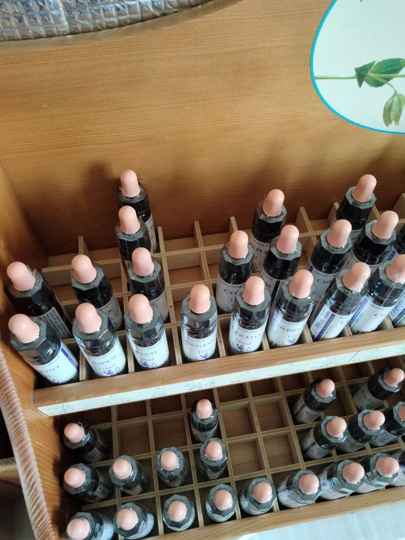 マルオ■クラブアップル30ml クレマチス10ml セラトー10ml