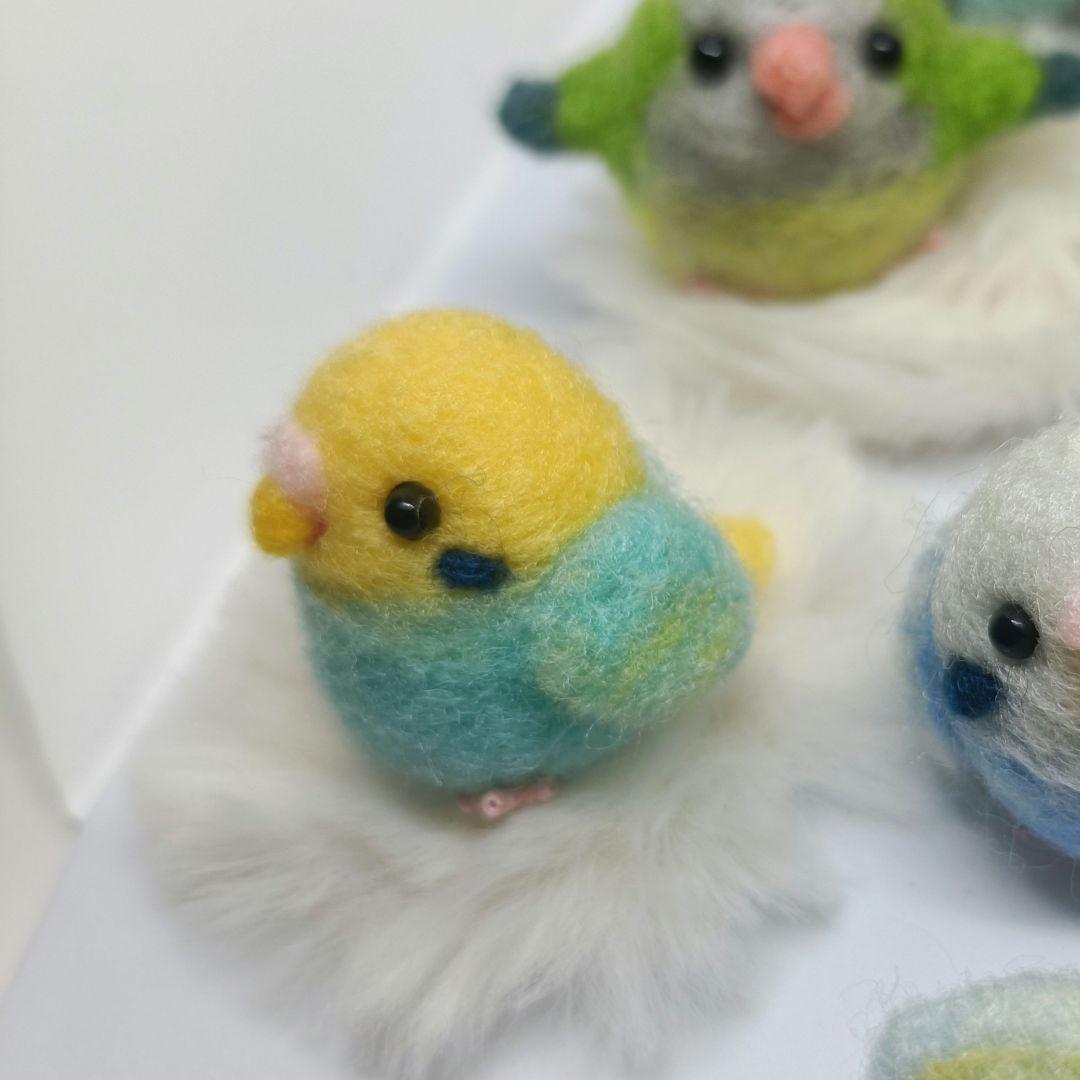羊毛フェルト まんまるレインボーちゃん① マット付き セキセイインコ