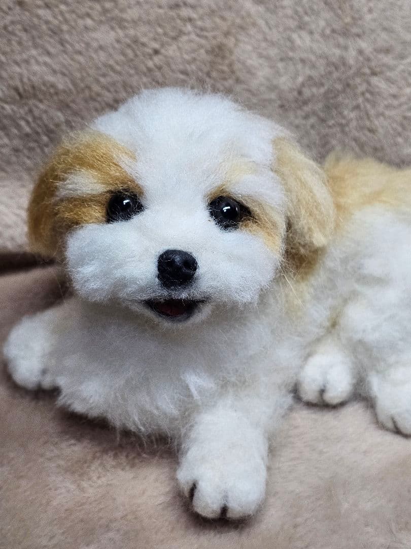 羊毛フェルト　オーダー受け付けてます
