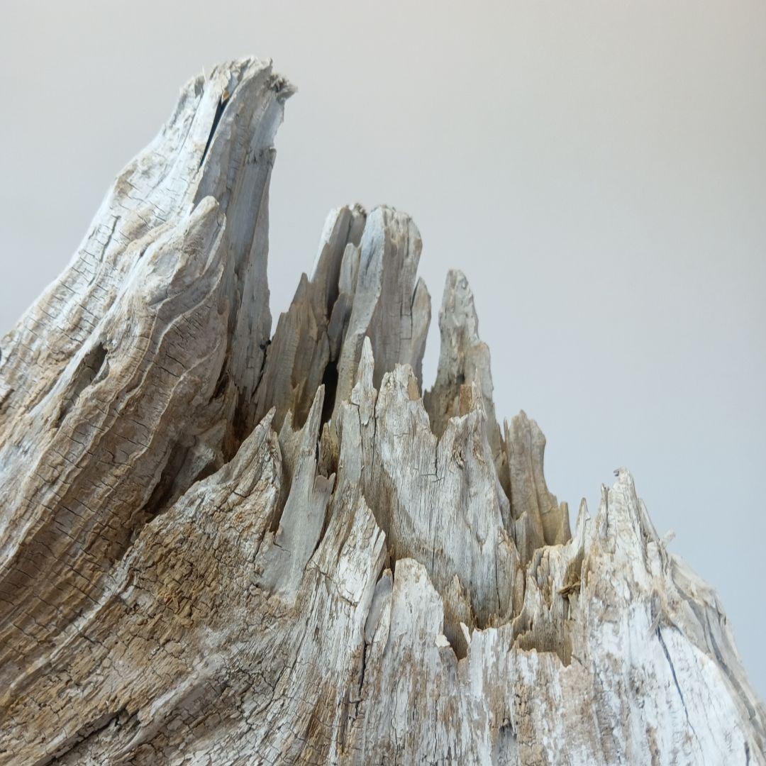 流木　NO.153