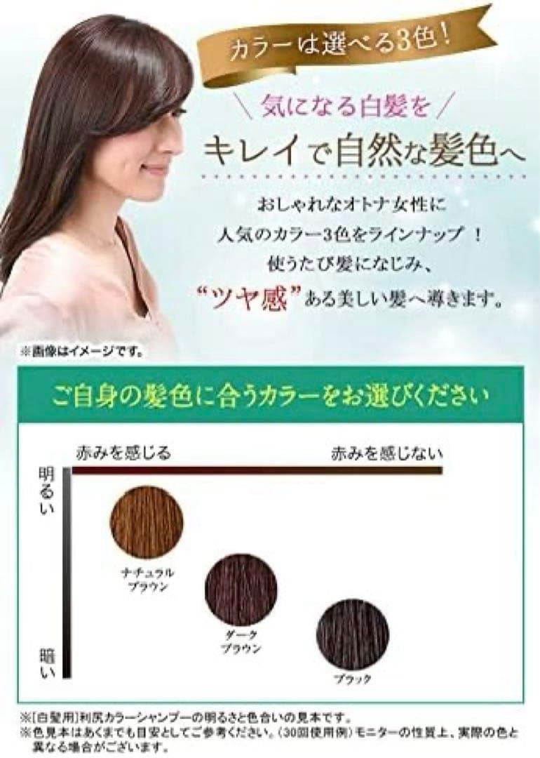 白髪用　リシューカラー　シャンプー 2本セット　ブラシ付き　天然由来　ブラック