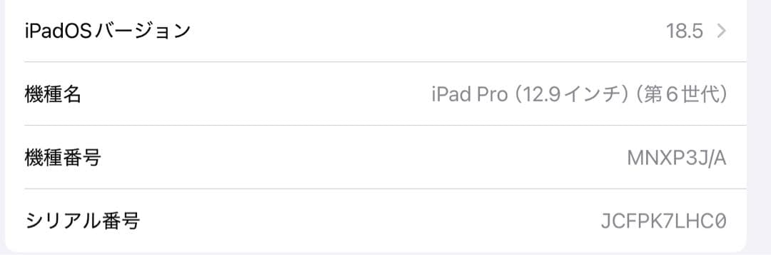 【極美品】iPad pro 12.9 第6世代、MagicKeyboardその他