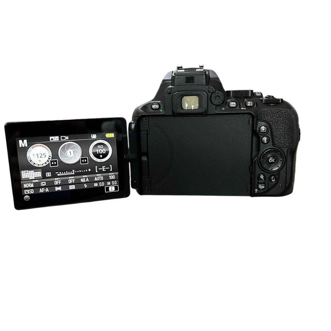 【動作好調】 Nikon ニコン D5500 レンズキット デジタル一眼レフ