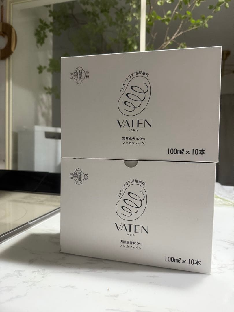 無添加VATEN ノンカフェイン 100ml×10本入り x2箱