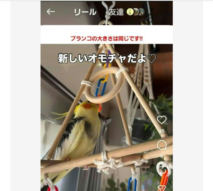 6　バードアスレチック　2段ブランコ　インコ　バードトイ　止まり木