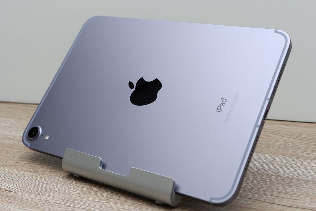 iPad mini 第6世代 256G セルラー ＋互換品のペン