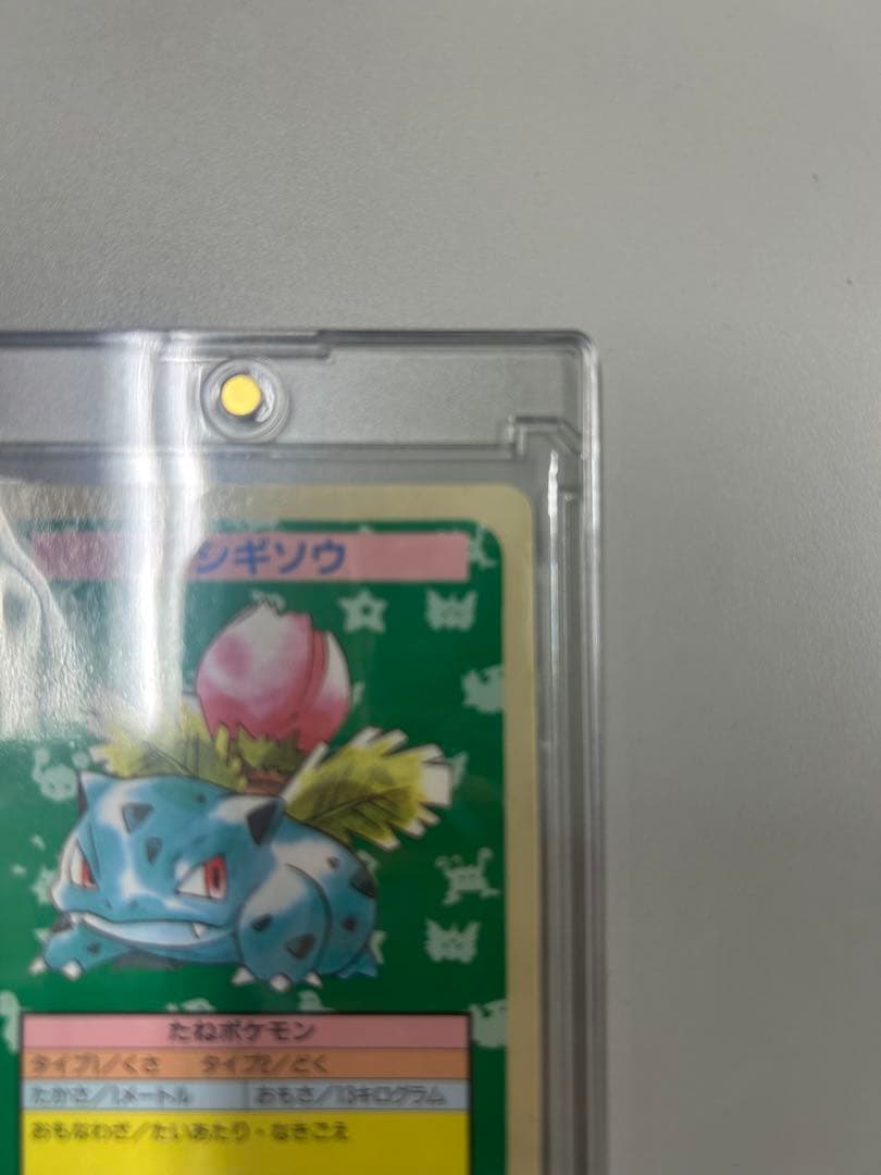 専用出品　トップサン　ポケモンカード　エラーカード　2枚セット